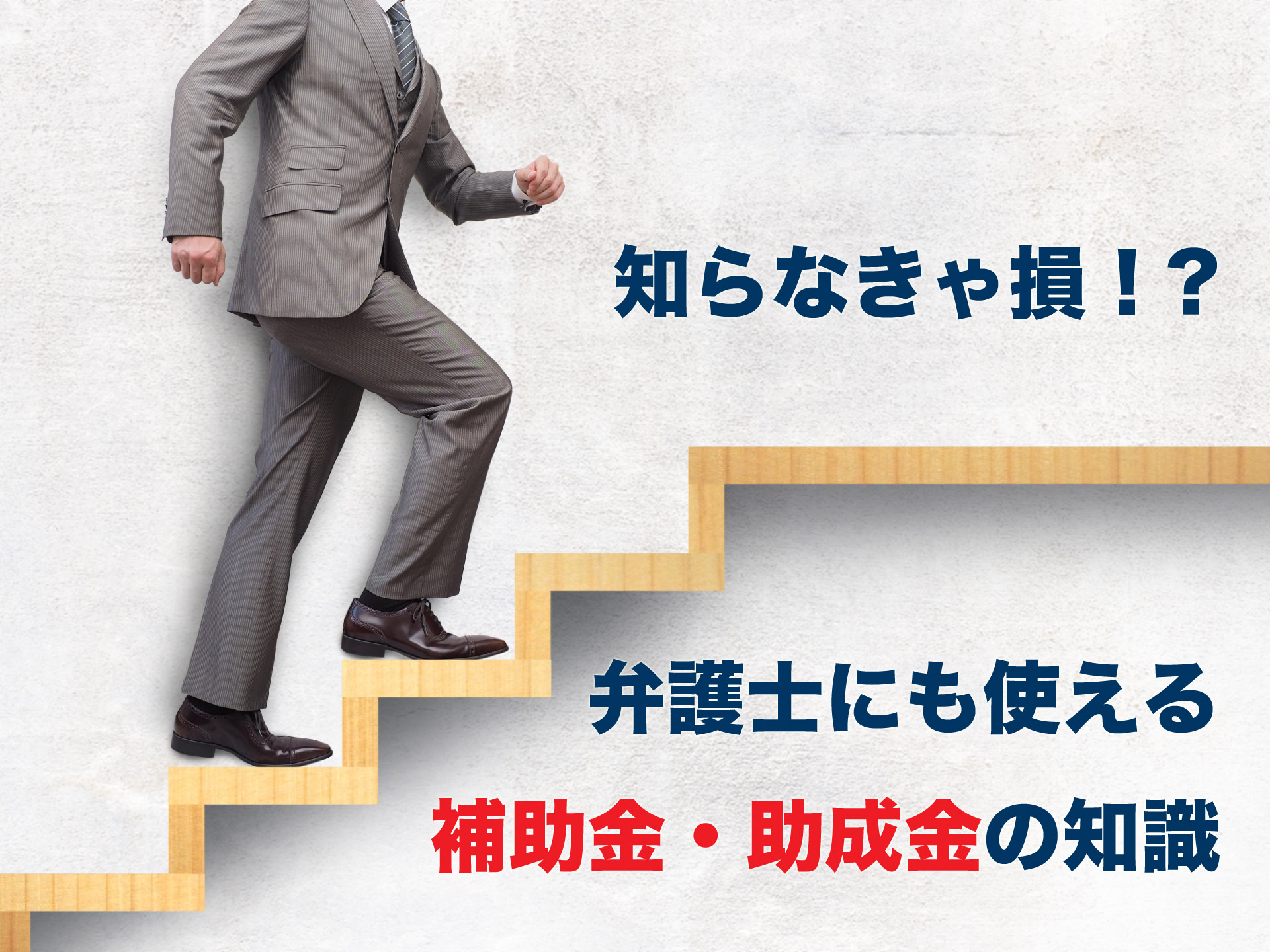 知らなきゃ損！？弁護士にも使える補助金・助成金の知識